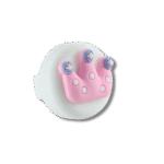 Princess Crown