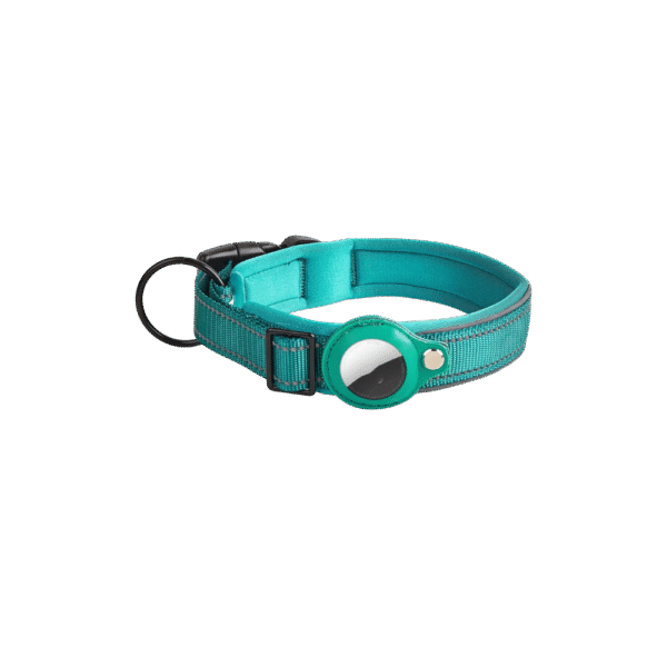 Blue Dog AirTag Collar