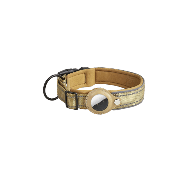 Brown Dog AirTag Collar