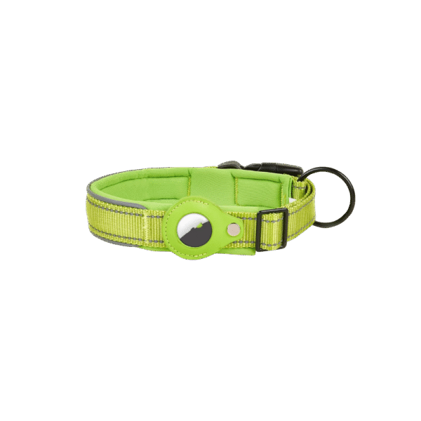 Green Dog AirTag Collar